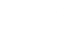 david cox logo white